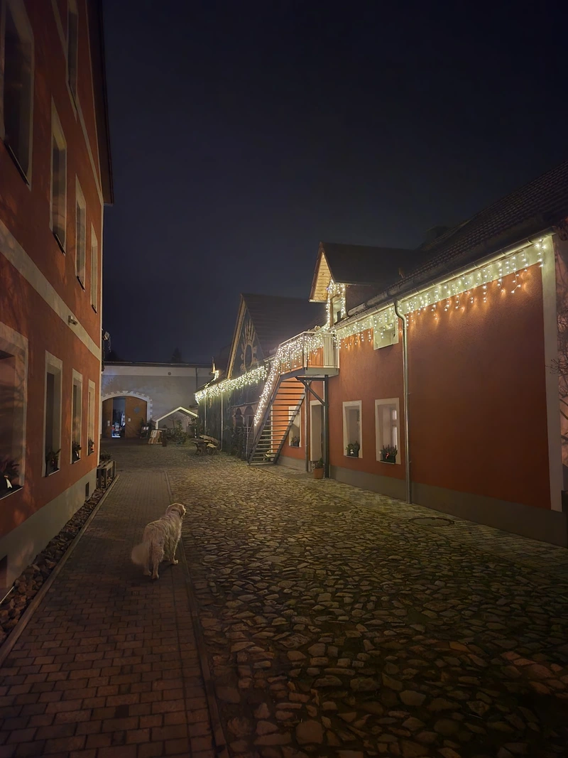 Seniorengut Sonnenhof Elbaue – Bild 1