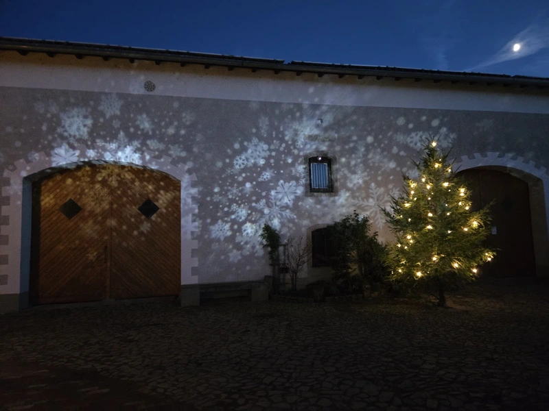 Seniorengut Sonnenhof Elbaue – Bild 4