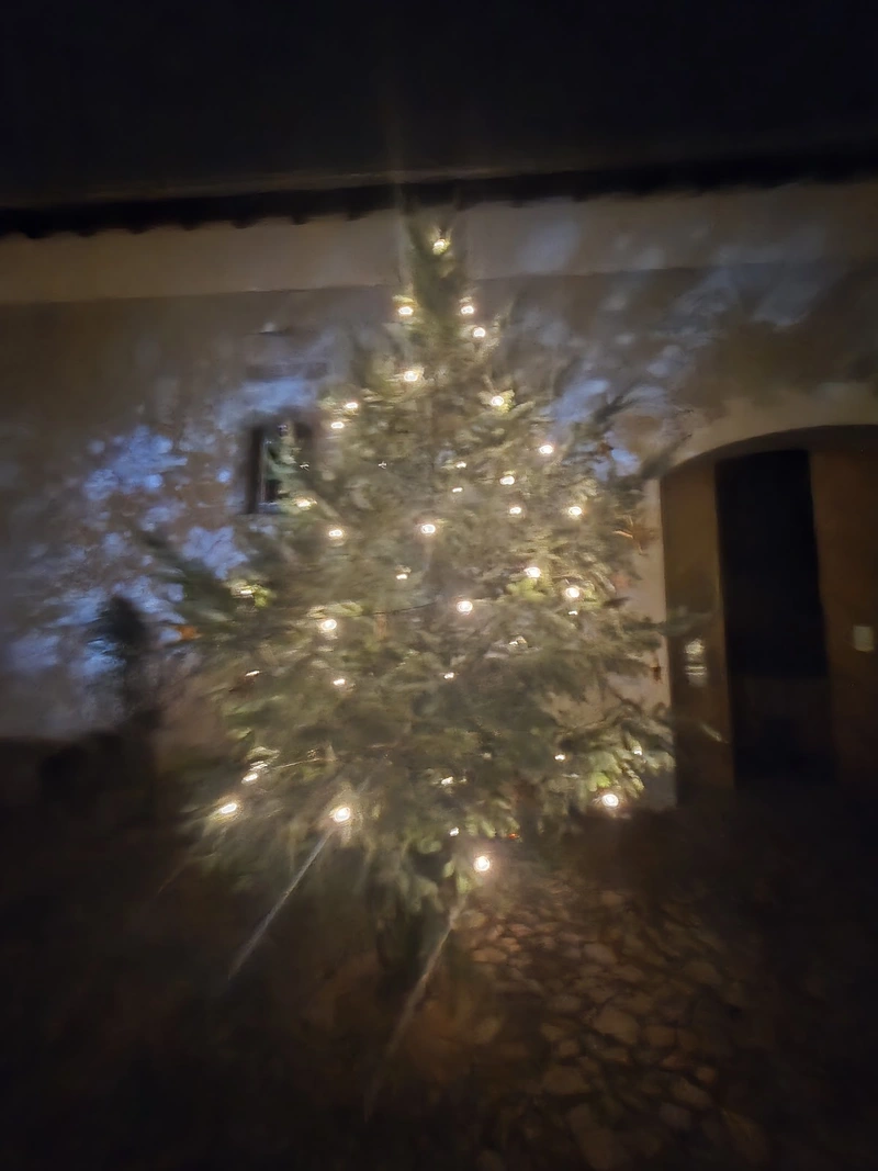 Seniorengut Sonnenhof Elbaue – Bild 5