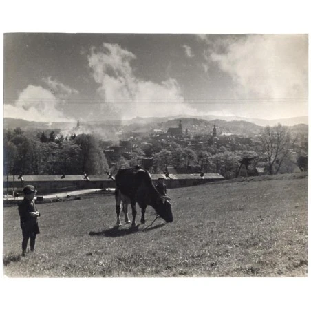 Caritas-Sozialstation Ostritz – Bild 3