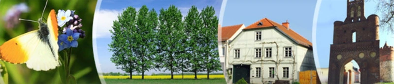 Pflegedienst Kehle – Bild 5