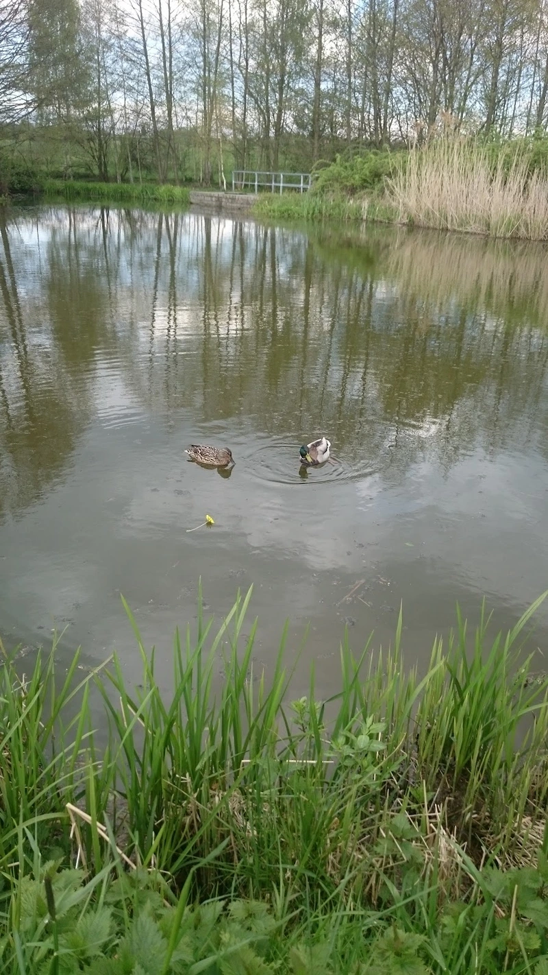 Diakonie Sozialstation Rothenburg – Bild 1