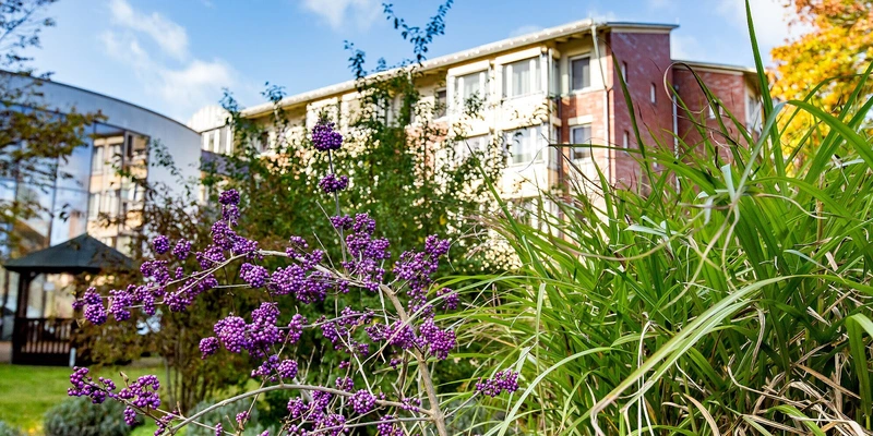 Diakoniestation Evangelisches Johannesstift – Bild 4