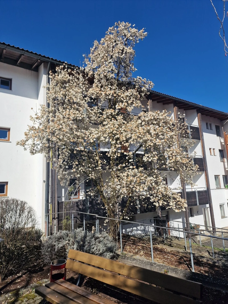 Caritas Sozialstation Donau & Wald Hengersberg-Osterhofen-Schöllnach – Bild 1