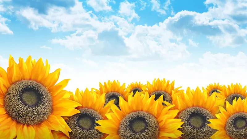 Häusliche Pflegepraxis Carina Hönow – Bild 3