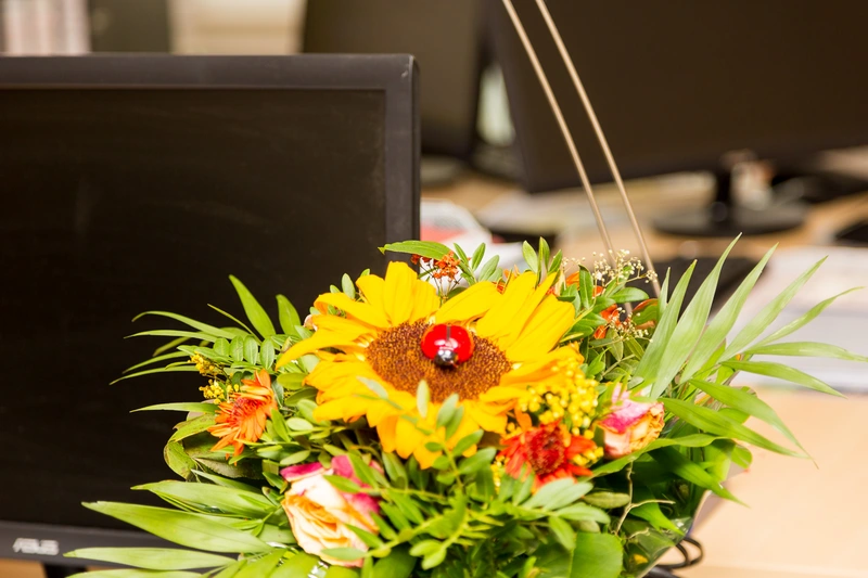 Häusliche Pflegepraxis Carina Hönow – Bild 5