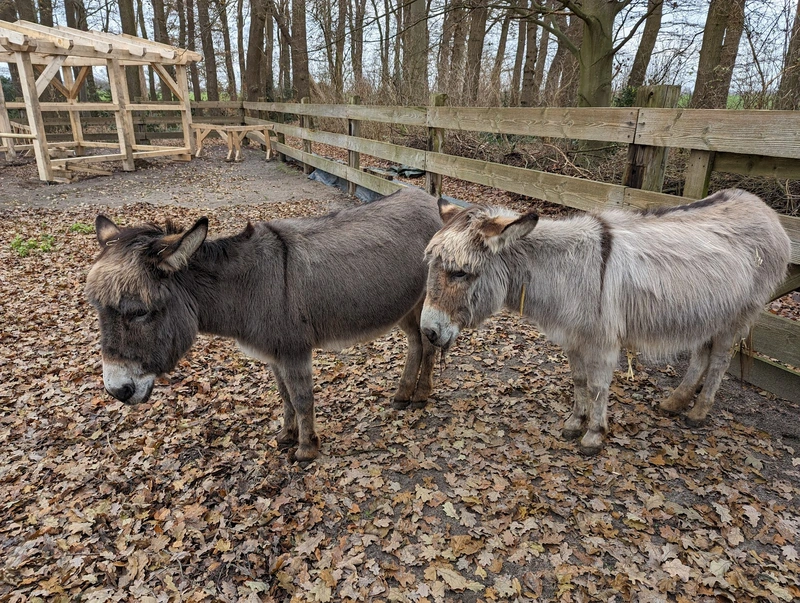 Green Care Hof GmbH – Bild 3