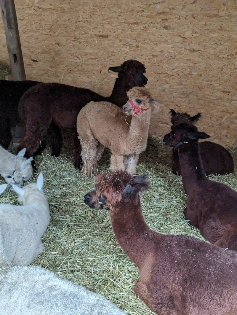 Green Care Hof GmbH – Bild 5