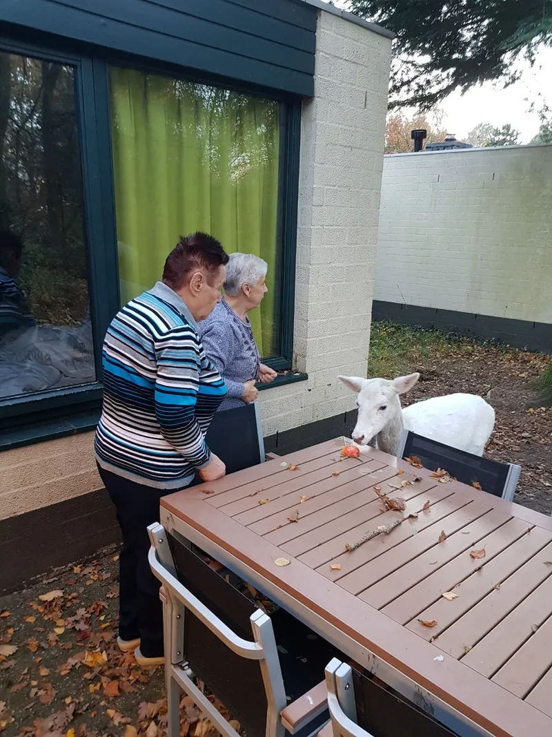 Pflegende Hände – Bild 4