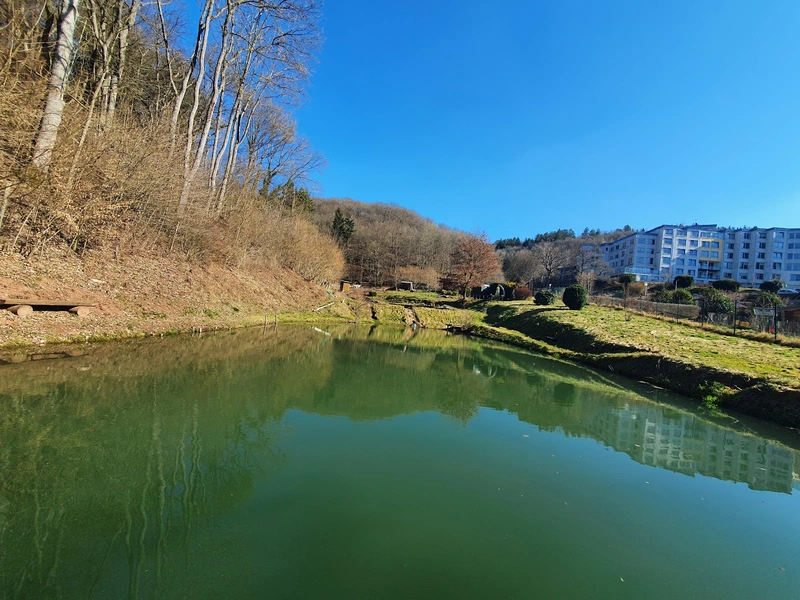 Ambulanter Pflegedienst am Ev. Alten- und Pflegeheim Gemünd – Bild 3