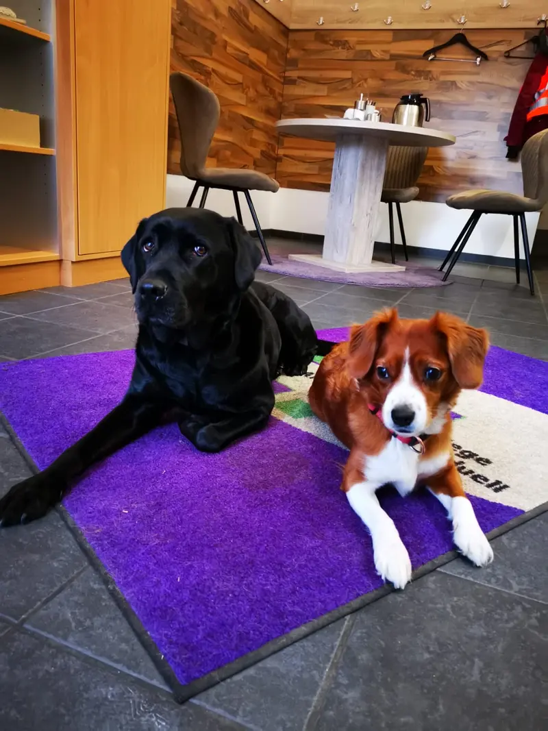 API Ambulante Pflege Individuell – Bild 1