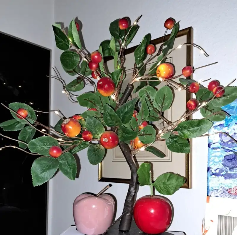 HOLLER MEDIC Medizinische Versorgung – Bild 2