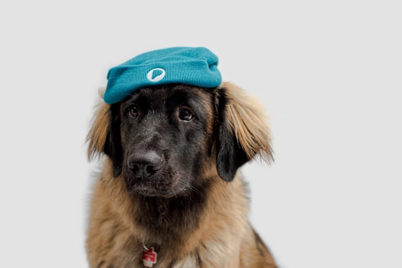 Pflegefreunde – Bild 4