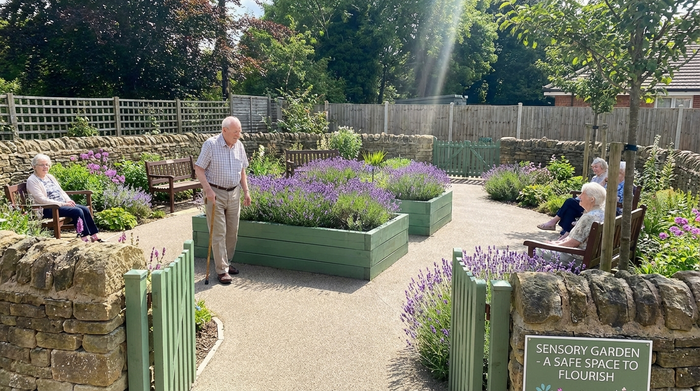 Ein blühender, sicherer Demenzgarten an einem sonnigen Nachmittag. Ein älterer Herr mit Gehstock spaziert entspannt auf einem geschwungenen, gepflasterten Weg an grünen Hochbeeten voller Lavendel vorbei.