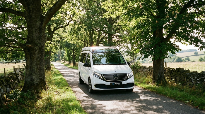Ein moderner weißer Kleinbus fährt auf einer von alten Bäumen gesäumten, ruhigen Landstraße bei strahlendem Sonnenschein.