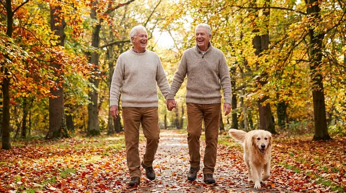 Ein vitales älteres Paar spaziert fröhlich durch einen herbstlichen Park. Sie tragen bequeme Kleidung und genießen die frische Luft und die sanfte Bewegung.