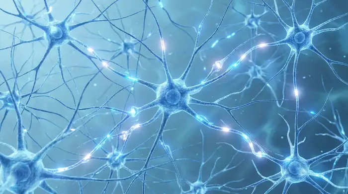Eine detailreiche, realistische 3D-Illustration eines gesunden neuronalen Netzwerks in sanften Blautönen, das leuchtende Signale überträgt. Ruhige, medizinisch-ästhetische Darstellung ohne Text.